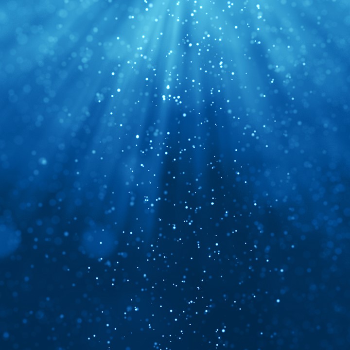 Shutterstock 1044773998