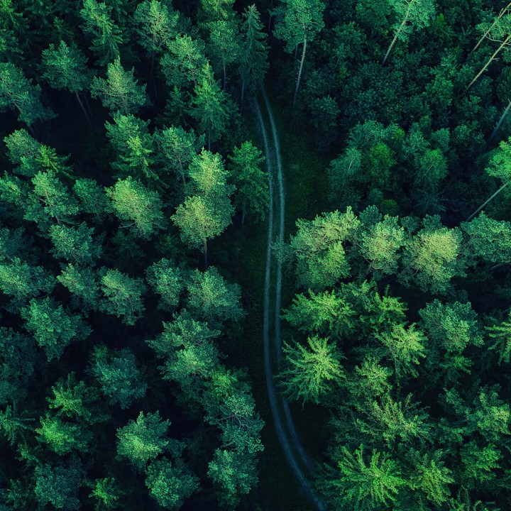 Forest Aerial View Nature Scenery 2K Wallpaper Uhdpaper.Com 816@0@G